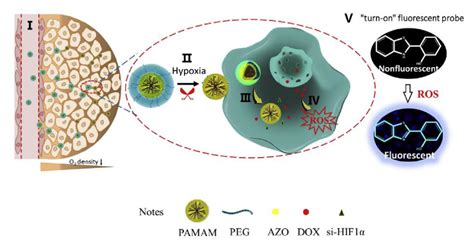 Figure 1 From Tumor Microenvironment Responsive Size Shrinkable Drug Delivery Nanosystems For