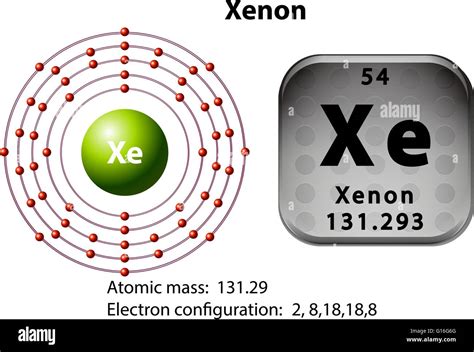 Symbol And Electron Diagram For Xenon Illustration Stock Vector Image