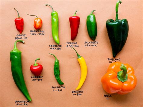 From The Competition To Your Kitchen Chile Pepper Cheat Sheet Food