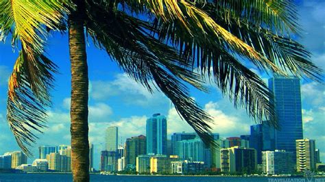 Miami Skyline Hd Wallpapers Wallpaper Cave