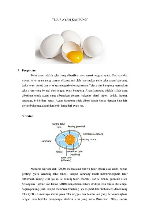 IBM Telur Ayam Kampung - “TELUR AYAM KAMPUNG” A. Pengertian Telur ayam