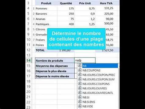 Excel Tuto10 La Fonction NB Compter Le Nombre De Cellules Remplies