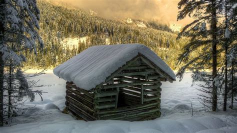 Wooden Hut In The Snowy Forest Wallpaper Nature Wallpapers 36251