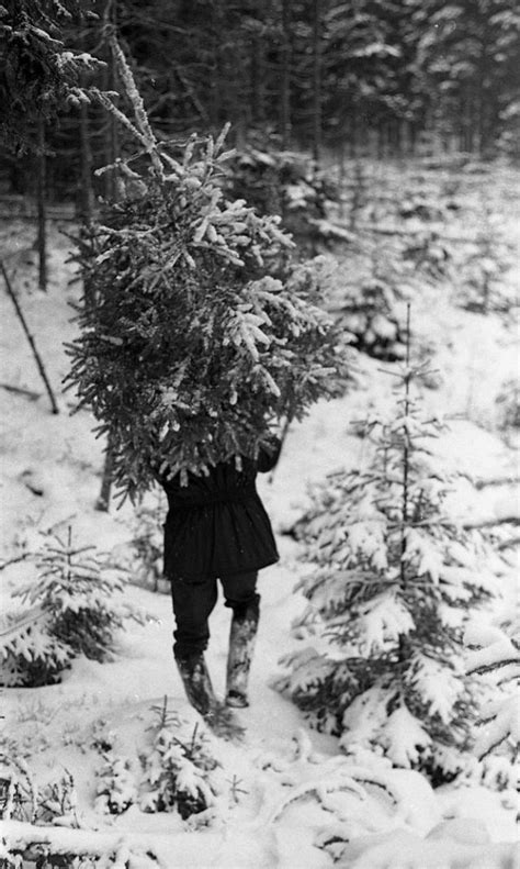 Vintage Photographs Of An Old Man And His Christmas Tree