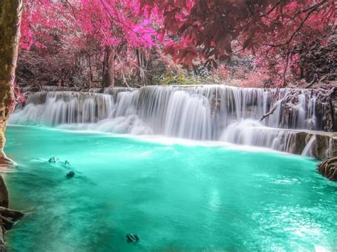 Paradise Waterfall Download Hd Wallpapers And Free Images