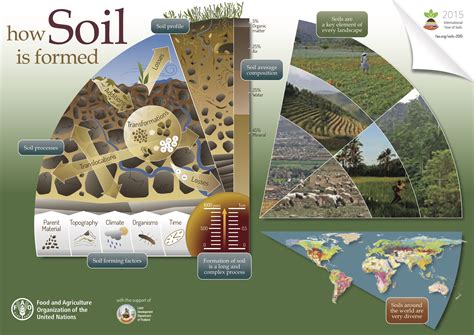 Dynamic Role Of Soil And Terrestrial Ecosystems In The Global C Cycle