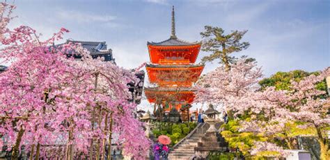 14 Day Cherry Blossoms Of Japan Inspiring Vacations