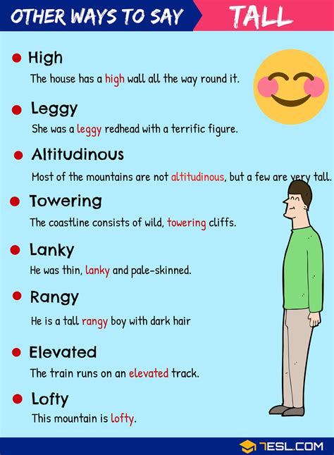 Synonyms For Tall With Examples Another Word For Tall Esl