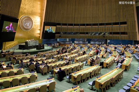 在联合国内部，分为会员国和观察员国，他们的权力有什么不同？国际联盟