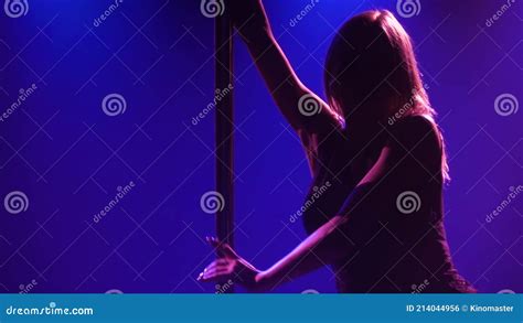 Passionate Pole Dance Performed By A Professional Striptease Dancer A