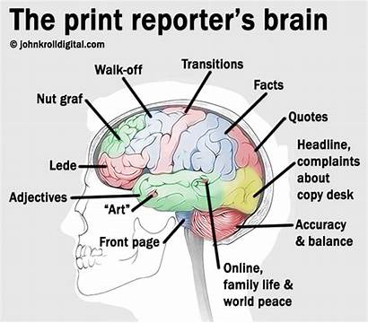 Diagram Cancer Mindset National Institute Brain Journalism