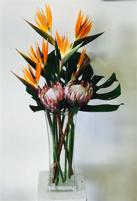 Birds Of Paradise And Pink Protea In Bloom Florist Wedding Birds