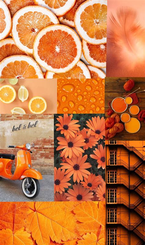 Aesthetic Vsco Collage With Orange Theme