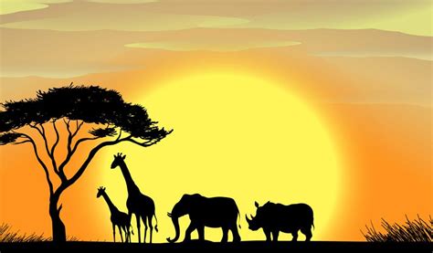 Real African Safari Sunset