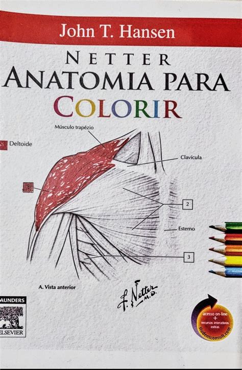 Livro Anatomia Para Colorir Anatomy