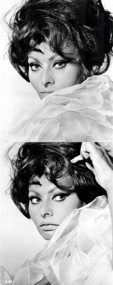 Richard Avedons Portrait Of Sophia Loren From Arabesque Sofia Loren