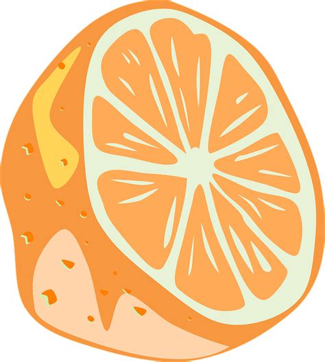 Download Orange Half Slice Royalty Free Vector Graphic Pixabay