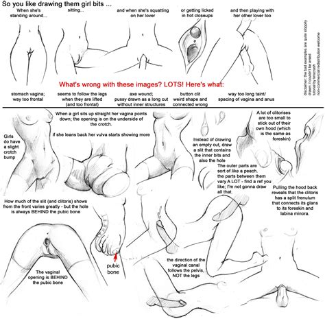 Anatomy Of A Pussy 22234 How To Draw Pussy By KrisCrash