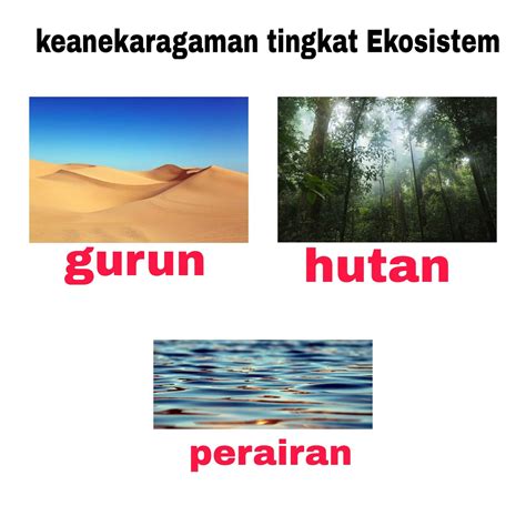 BAB 4 KEANEKARAGAMAN HAYATI (Gen, Jenis/Spesies, Ekosistem) - Siswa Biologi