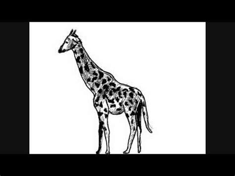 Comment dessiner un animal et plus précisément une joli girafe jaune. Dessin de girafe - Comment Dessiner - YouTube