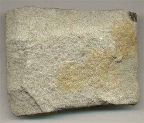 Sedimentary Rock Identification Sample 10