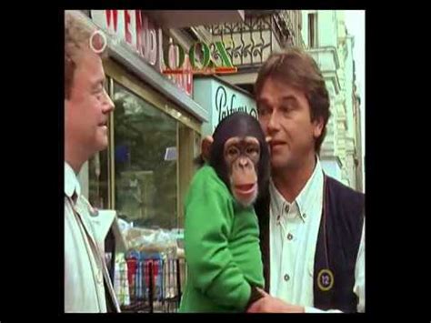 Besonderheit der serie ist der bekleidete schimpanse charly, der in das geschehen verwickelt ist und als unterhaltsamer kontrastpunkt zu den oftmals tragischen. Unser Charly, Charly, majom a családban S04E04 - YouTube