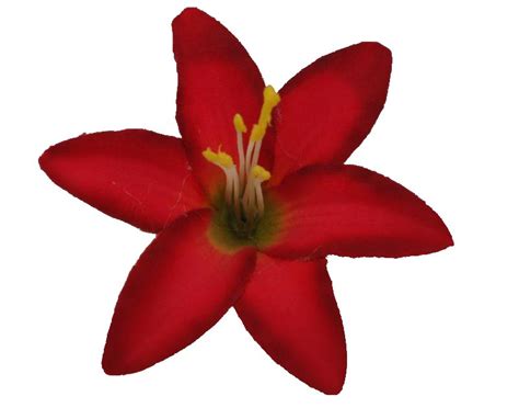 Large medium small any size. Free Red Flower Clip, Download Free Clip Art, Free Clip ...
