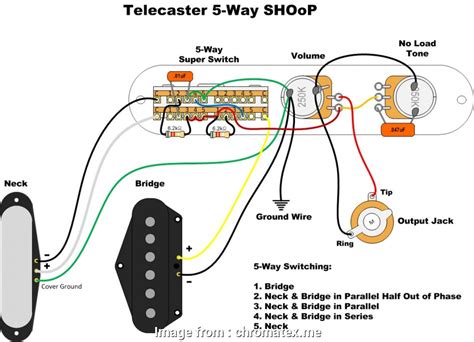 Regular n/n&b/b setup access in the back, no pick guard. Telecaster 2 Humbuckers 4, Switch Wiring Diagram Top 4, Circuit Telecaster Wiring Pole Light ...