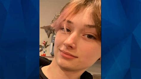 13 Year Old Girl Missing Crime Online