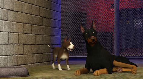 Simlicious Sims 3 Pets Preview Simsvip