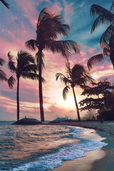 Tropical Beach Sunset Aesthetic Artofit