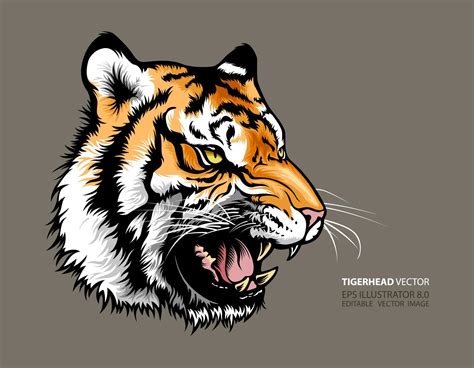 Tiger Head Vector Illustration Vector Template Mascot Vector