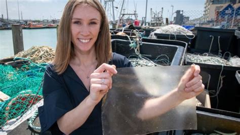 พลาสติกชีวภาพ บัณฑิตอังกฤษคิดค้นวัสดุทดแทนพลาสติกจากสาหร่ายและเศษปลา
