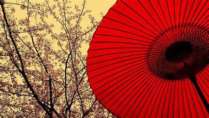Umbrella Oriental Japanese Umbrellas Parasol Cherry Traditional
