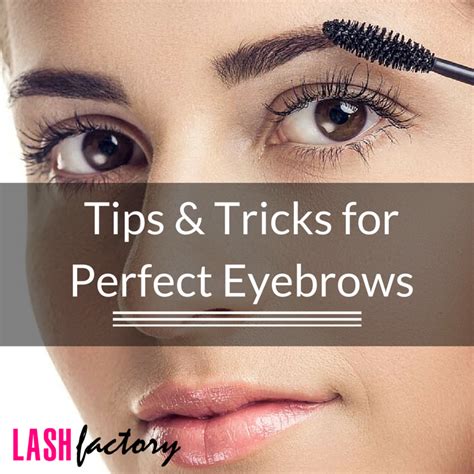 Tips And Tricks For Perfect Eyebrows Lash Factory