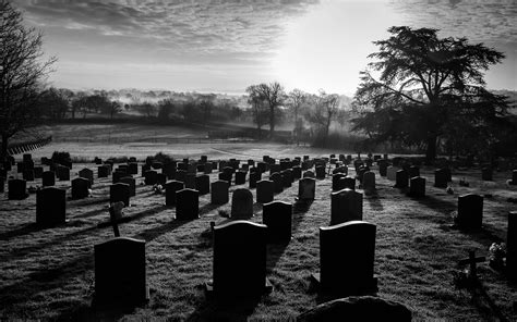 Cemetery Bw Tombstones Graveyard Trees Hd Wallpaper Nature And