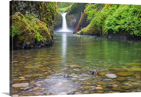 Or Columbia River Gorge National Scenic Area Punch Bowl Falls Wall