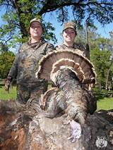 California Turkey Hunting Outfitters Photos