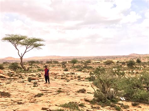 Somaliland locally known as jamhuuriyadda soomaaliland جمهورية أرض الصومال jumhūrīyat ṣūmāliland republic of somaliland. Somalia & Somaliland - Even Intrepid Travelers Avoid, But ...