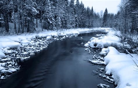 Wallpaper Winter Forest Snow River Black And White Forest Winter