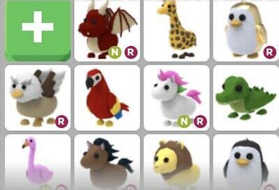 Where is the best place to adopt a pet? ROBLOX - ADOPT me - OWL RIDE legendary - £9.99 | PicClick UK