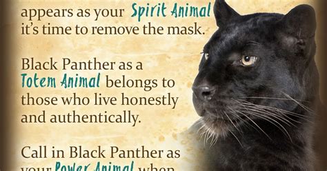 Owning A Black Cat Spiritual Meaning