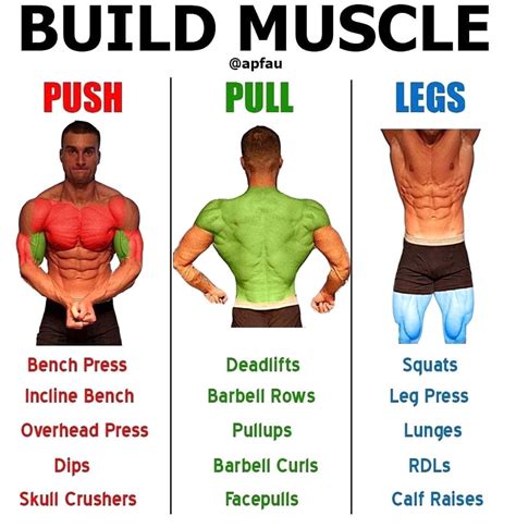 Pin By Lc On Workout Workout Push Pull Legs Weight Training