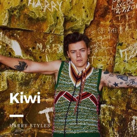 แปลเพลง Kiwi Harry Styles ความหมายเพลง Kiwi อัลบั้ม Harry Styles