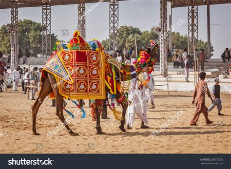 The pushkar camel fair was my favourite festival on my first trip to india. Pushkar, India - November 22, 2012: Camel Decoration ...