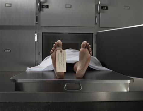 Life After Death When You Die You Know Youre Dead Science News