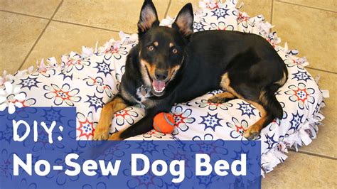 Diy No Sew Dog Pet Bed Sea Lemon Youtube