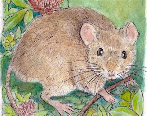 A Drawing Of A Mouse Sitting On Top Of A Leafy Branch With Flowers In