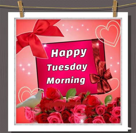 Previous articlegood morning tuesday wishes | tuesday morning greetings. Happy Tuesday Morning Pictures, Photos, and Images for ...
