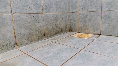 How To Get Rid Of Mold In Bathroom 4 Tips From The Pros